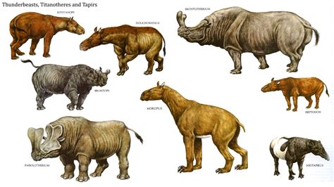 Thunder Beasts Titanotheres And Tapirs - Mammal Like Dinosaurs Wallpaper Image | Prehistoric ...