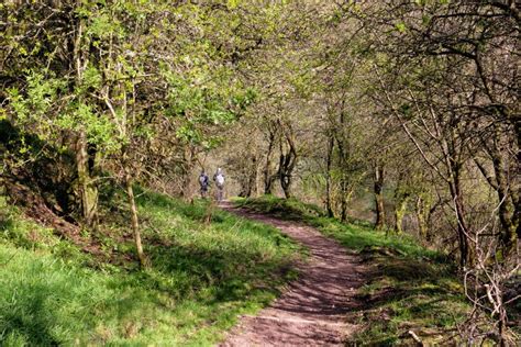 Walking Path in the Forest of New Lanark, Scotland, UK. Two Tourists ...