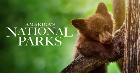 Watch America's National Parks TV Show - Streaming Online | Nat Geo TV