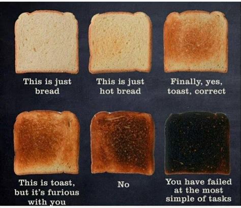 The best toast memes :) Memedroid