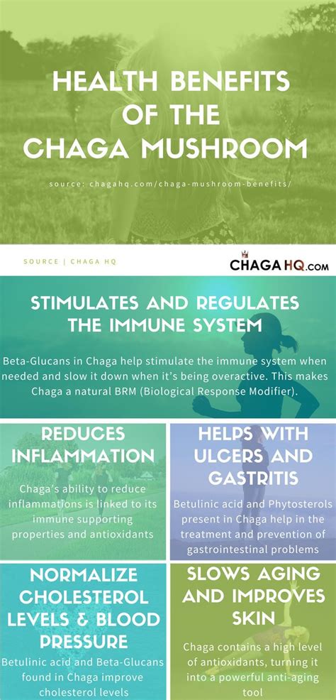 Chaga Mushroom Benefits: The Health Facts | Medicinal Mushrooms | Pinterest | Mushrooms, Benefit ...