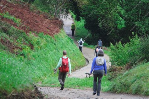 Premium Photo | Pilgrims walking the camino de santiago