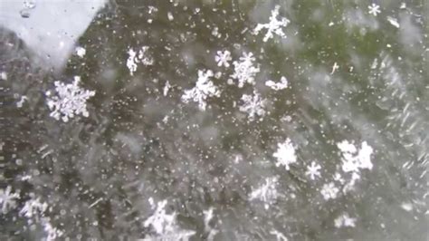 Real Snowflakes Falling From The Sky