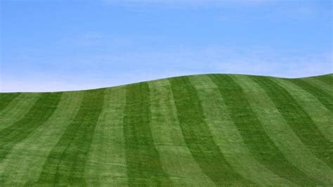 Best Lawn Mowers for Hills - ProGardenTips