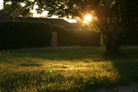 Green Grass Field · Free Stock Photo