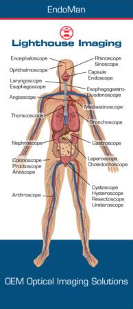 Types of Endoscopes - Lighthouse Imaging