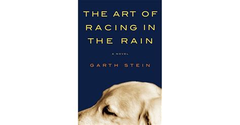 The Art Of Racing In The Rain Book Summary - Book Updated - We Are Books Worm 2021