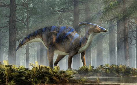 Saurolophus vs Parasaurolophus: What Are The Differences? - A-Z Animals