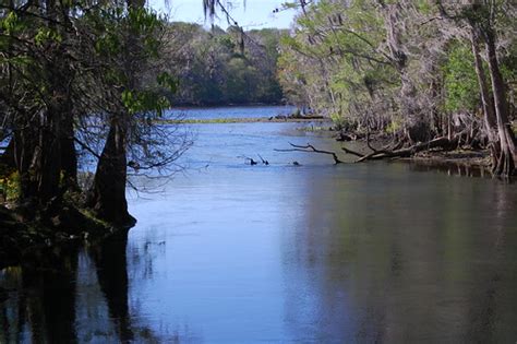 Manatee Springs State Park Camping