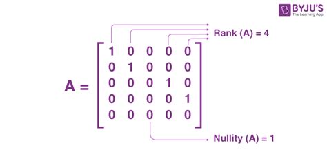 24+ nul a matrix calculator - TusharaMarya