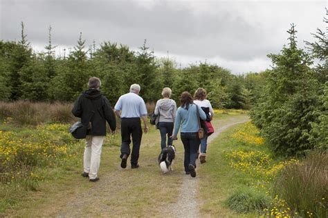 The Essential Connection Between Properly Fitted Shoes and Comfortable Walking - Hawley Lane Shoes