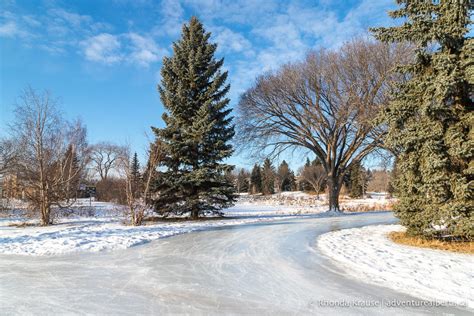 Things to Do in Edmonton in Winter- The Best Edmonton Winter Activities