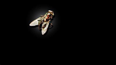 Download Movie The Fly (1986) HD Wallpaper