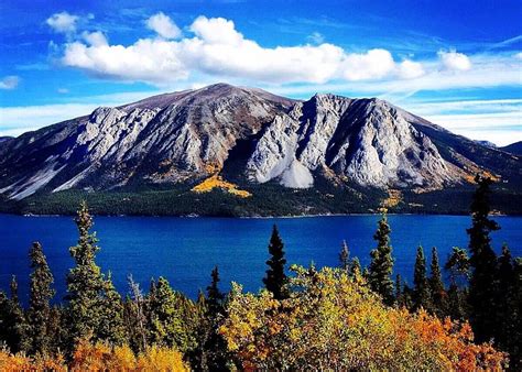 Carcross, Yukon 2023: Best Places to Visit - Tripadvisor