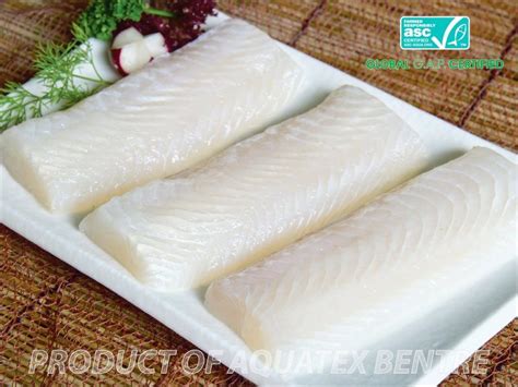 Frozen Pangasius Fillet Welltrimmed Portion Cut - Your everyday fish