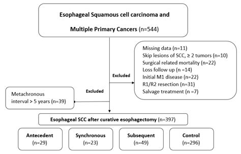 Squamous Cell Carcinoma Esophagus Survival Rate - Infoupdate.org