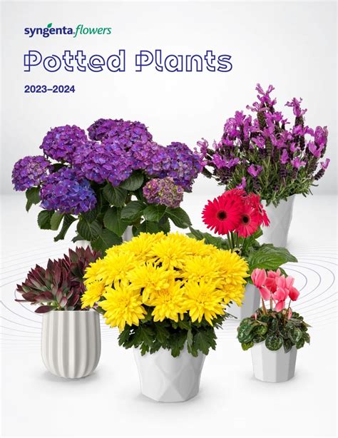 Syngenta Flowers releases Potted Plants Catalog - Lawn & Garden Retailer