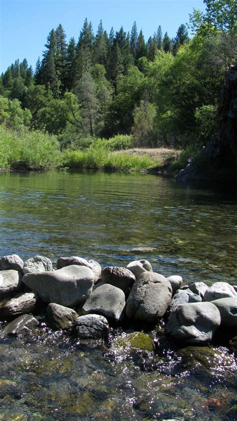 Mendocino National Forest, California | Mendocino national forest, California pictures, Outdoors ...