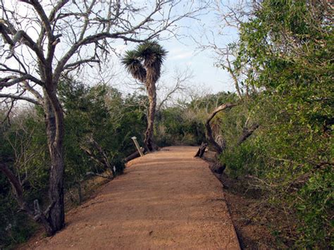 South Texas Botanical Gardens & Nature Center (Corpus Christi) - 2021 All You Need to Know ...