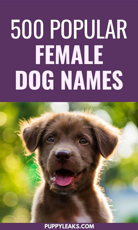 500 Popular Female Dog Names | Female dog names, Dog names, Puppies ...