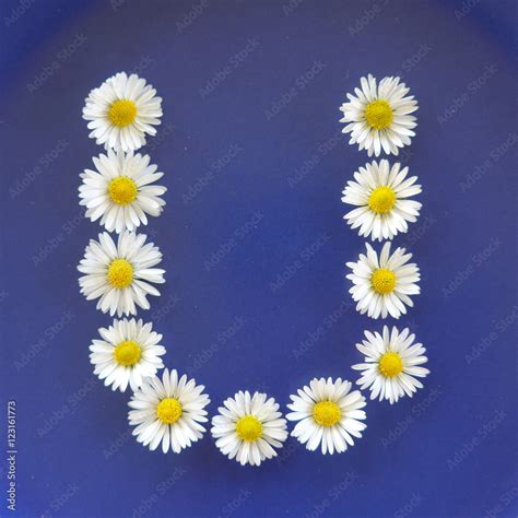 Letter U, Flower alphabet on blue background Stock Photo | Adobe Stock