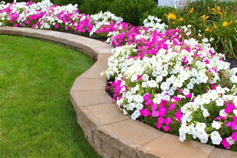 Consistent Flower Beds Maintenance | Keep your beds looking clean