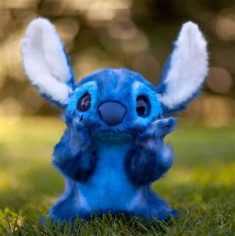 Real Life Realistic Stitch | ubicaciondepersonas.cdmx.gob.mx