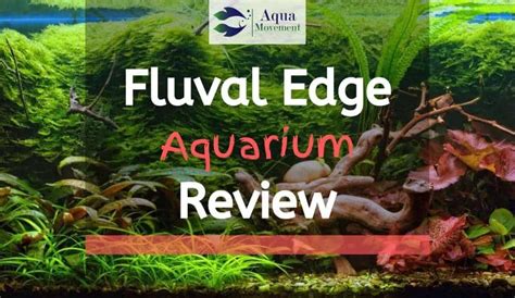 Fluval Edge 6 And 12 Gallon Aquarium Review | Aqua Movement