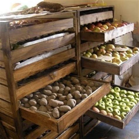 Images | Root cellar, Root cellar storage, Homesteading