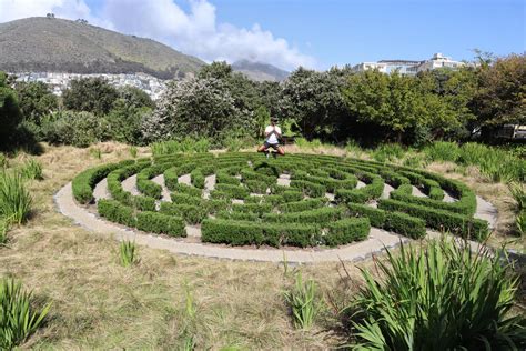 Green Point Park | Biodiversity Garden In The City | Cape Town