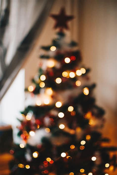 Free Images : christmas tree, christmas decoration, christmas ornament ...