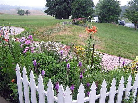 8094 Antietam National Battlefield - Flowers at the Visito… | Flickr
