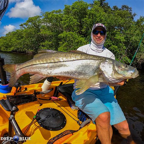 Snook and Tarpon Charter - DEEP BLUE Kayak Fishing