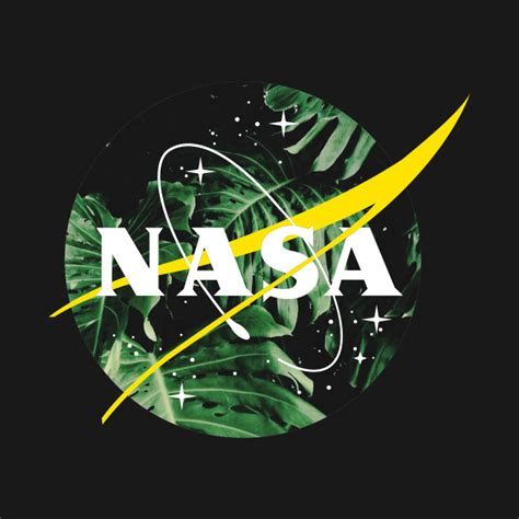 Aesthetic NASA Logo - Aesthetic Nasa - Hoodie | TeePublic