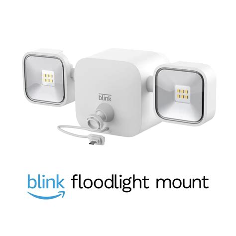 Amazon.com: Floodlight Mount Accessory for Blink Outdoor Camera 3rd Gen ...