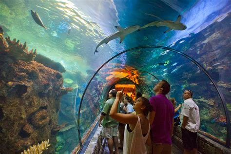 Shark Reef, Mandalay Bay, Las Vegas – Larry Brownstein Photography