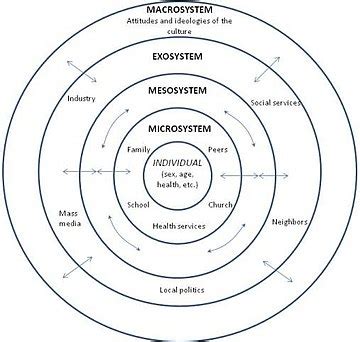 Wikizero - Social ecological model