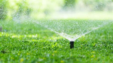 The 10 Best Sprinkler Heads of 2022 - Best Garden Tips