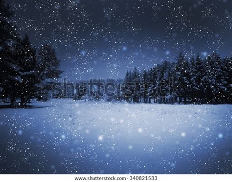 Trees Snow Night Storm Royalty-Free Images, Stock Photos & Pictures | Shutterstock