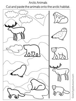 Arctic Animal Printable | Arctic Animals Worksheet | Arctic Animals