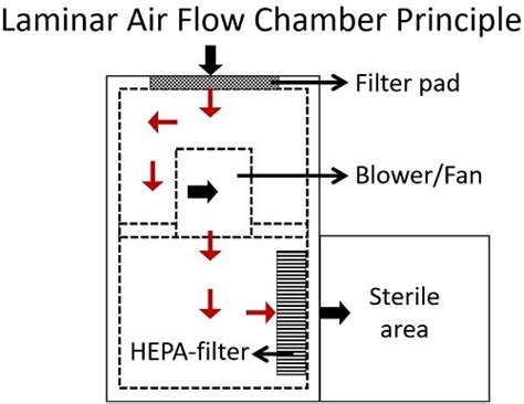 what is laminar flow in microbiology - Temika Triplett