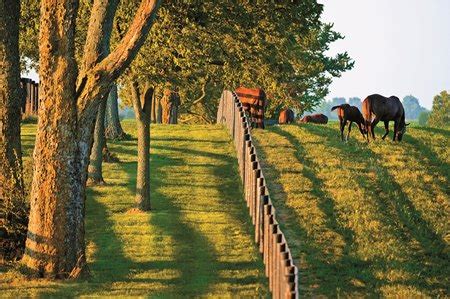 Kentucky Horse Farm Tours from the Comfort of Your Living Room - KY Supply Co