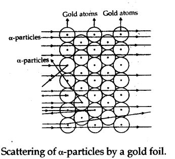 With the help of labelled diagram describe in brief the Rutherford's ...