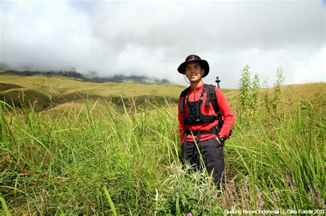 Explore.Dream.Discover: Trekking Mt. Rinjani (Gunung Rinjani) - Lombok ...