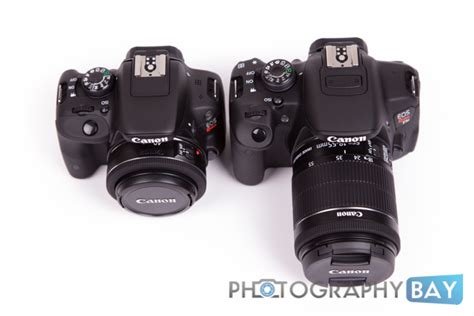 Top Lenses for the Canon Rebel T1i, T2i, T3, T3i, T4i, T5, T5i, T6i, T6s, T7i and SL1