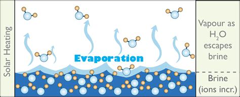 How Does Water Evaporate At Night at Rita Guerra blog