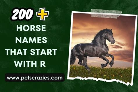 200+ Horse Names That Start With R (Stand Out in the Stable)