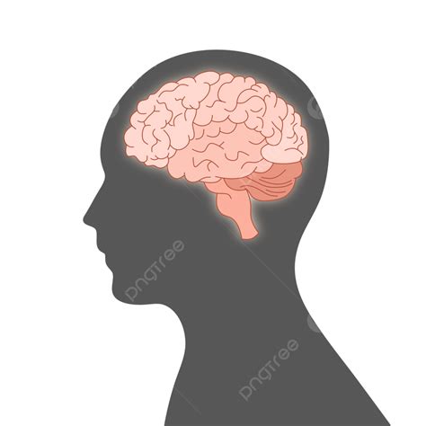 Side Profile Brain Silhouette, Silhouette, Brain, Side Profile PNG ...