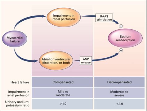 Acute Decompensated Heart Failure Symptoms