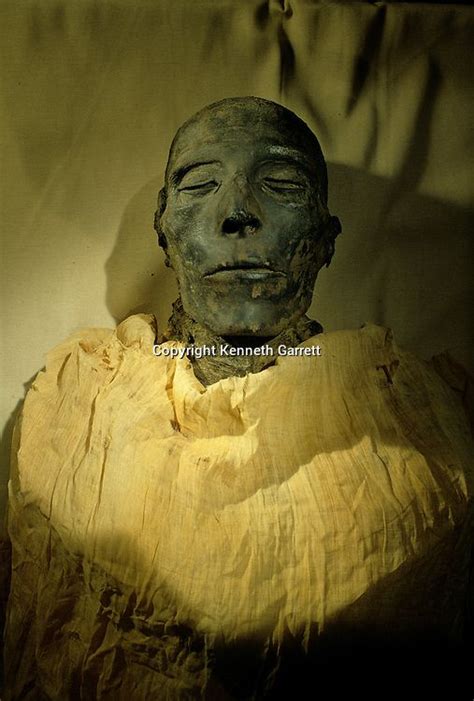 Mummy of Seti I, father of Ramses II, from Egypt's Valley of the Kings, Egyptian Museum, Cairo ...